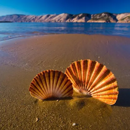 In With Terrace, Air Conditioning, Wifi 3719-3 *